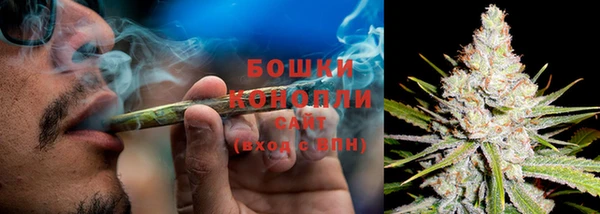 бошки Арсеньев